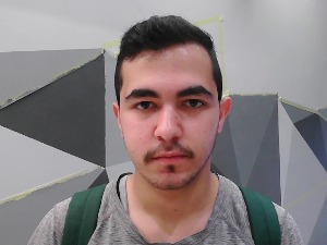 Face Image